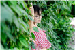 男JI大巴进入女人身体